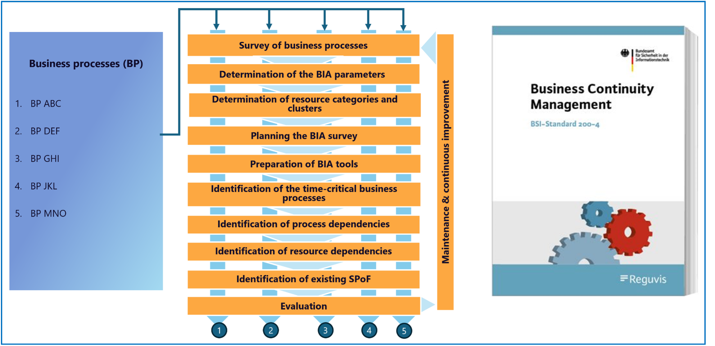 Graphical representation of the BIA steps